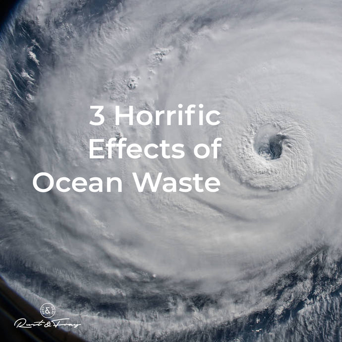 3 Horrific Effects of Ocean Waste