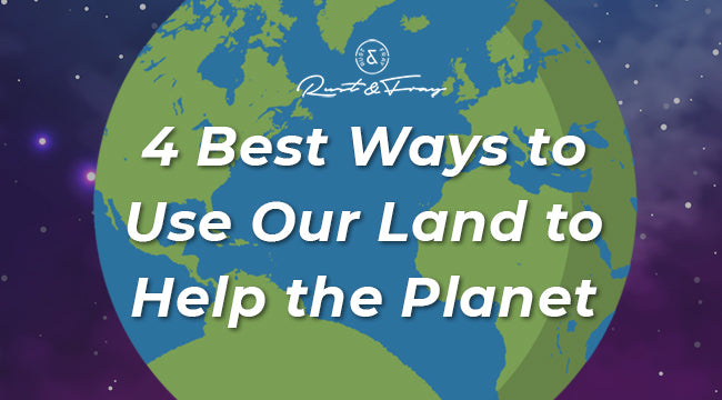The 4 Best Ways to Use Our Land to Help the Planet