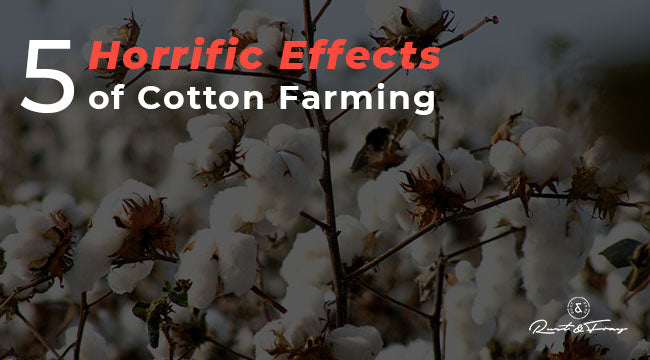 5 Horrific Effects of Cotton Farming