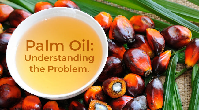 Palm Oil: Understanding the Problem.