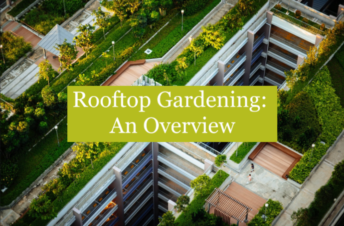 Rooftop Gardening: An Overview