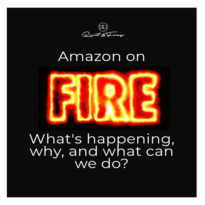 Amazon on Fire. What's happening, why, and what can we do?