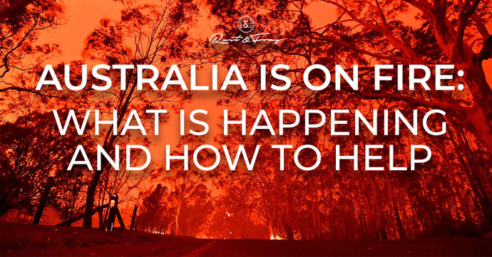 Australia is on Fire: What is Happening and How to Help