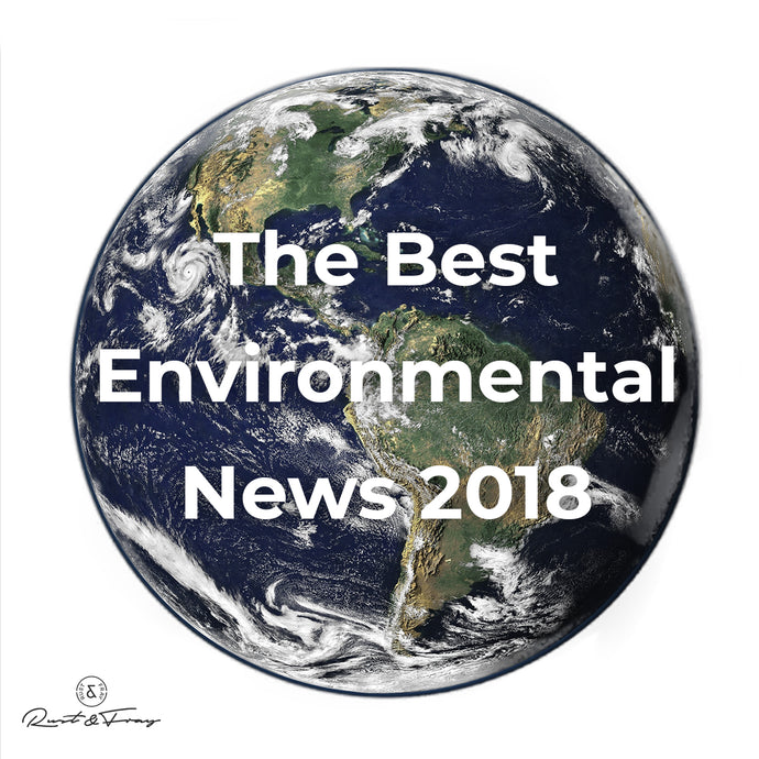 The Best Environmental News 2018