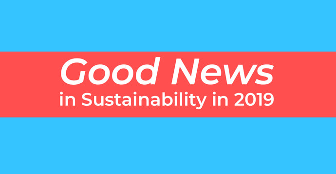 Good News in Sustainability in 2019