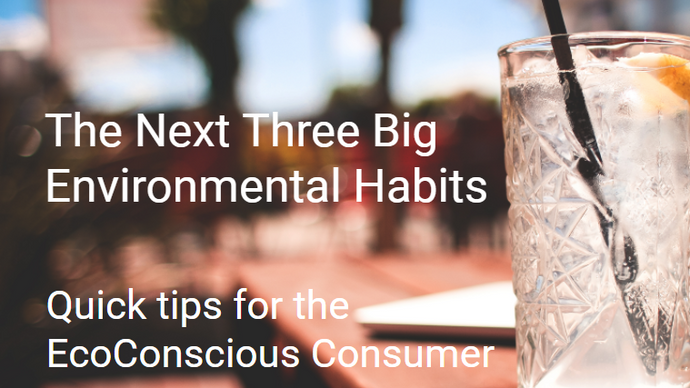 The Next Three Big Environmental Habits